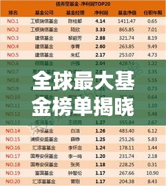 全球最大基金榜单揭晓，投资巨头TOP排名大揭秘！