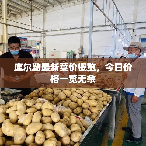 库尔勒最新菜价概览，今日价格一览无余