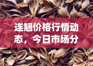 连翘价格行情动态，今日市场分析及趋势预测