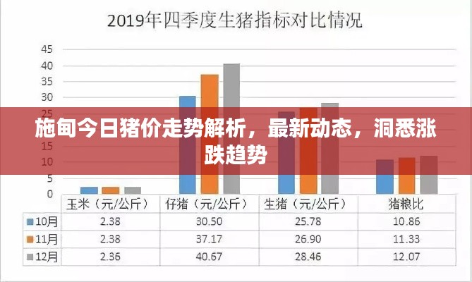 施甸今日猪价走势解析，最新动态，洞悉涨跌趋势
