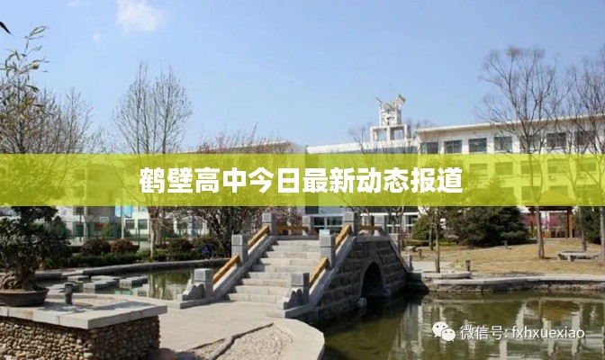 鹤壁高中今日最新动态报道