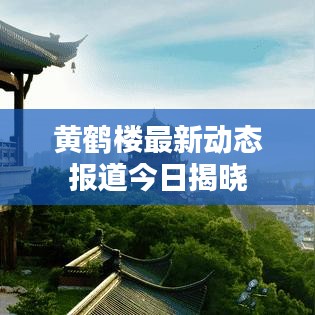 黄鹤楼最新动态报道今日揭晓