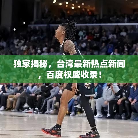 独家揭秘，台湾最新热点新闻，百度权威收录！