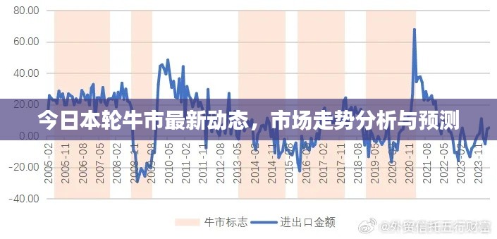 今日本轮牛市最新动态，市场走势分析与预测