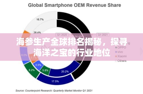 海参生产全球排名揭秘，探寻海洋之宝的行业地位