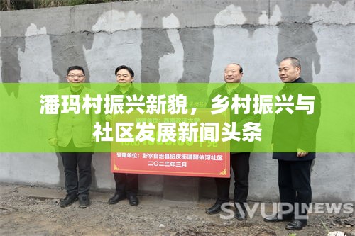 潘玛村振兴新貌，乡村振兴与社区发展新闻头条