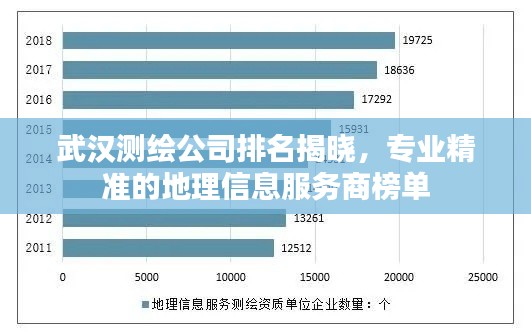 武汉测绘公司排名揭晓，专业精准的地理信息服务商榜单