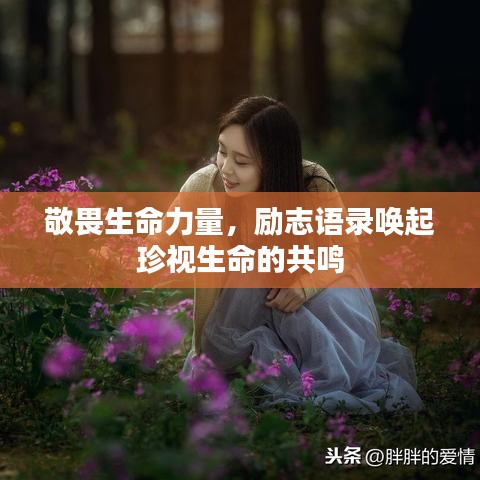 敬畏生命力量，励志语录唤起珍视生命的共鸣