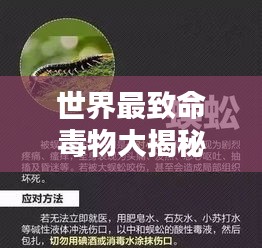 世界最致命毒物大揭秘，致命排名与危害解析