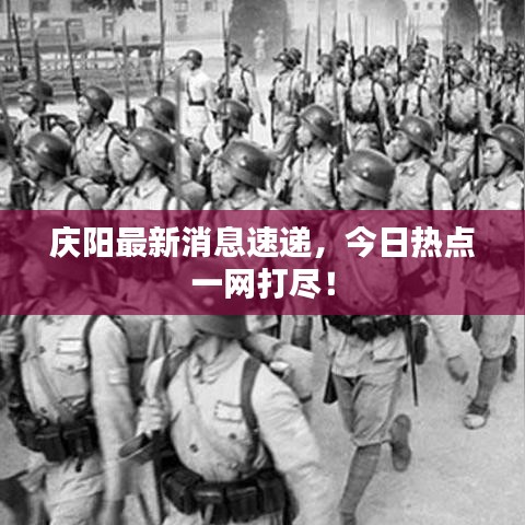 庆阳最新消息速递，今日热点一网打尽！