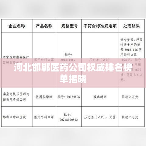河北邯郸医药公司权威排名榜单揭晓