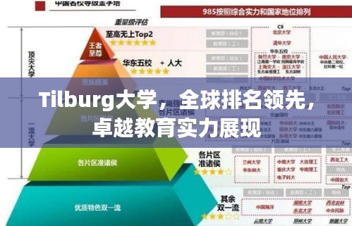 Tilburg大学，全球排名领先，卓越教育实力展现