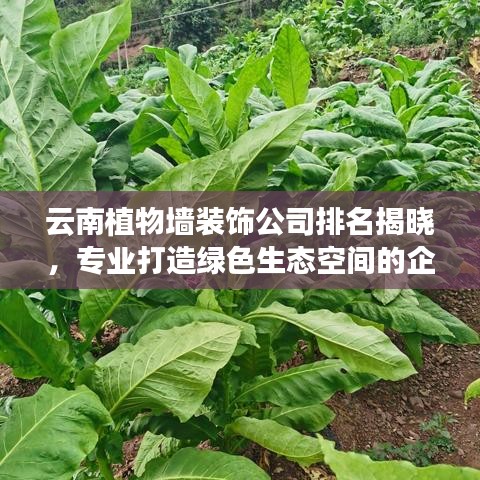 朝乾夕惕 第2页