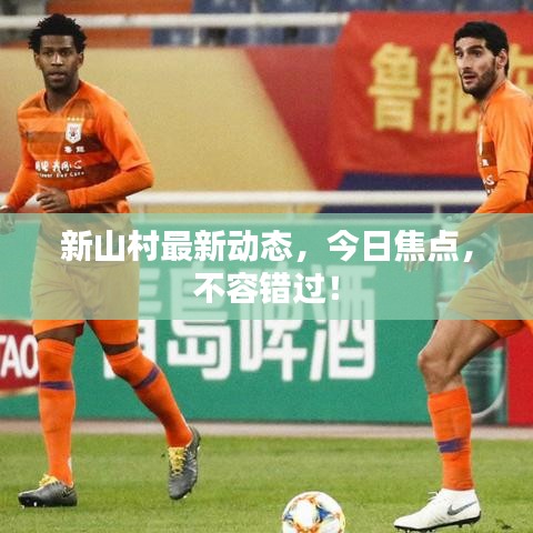 新山村最新动态，今日焦点，不容错过！