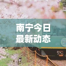 南宁今日最新动态揭秘，不容错过的最新消息！