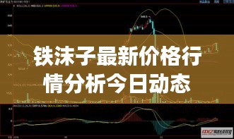 铁沫子最新价格行情分析今日动态