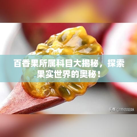 百香果所属科目大揭秘，探索果实世界的奥秘！