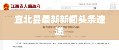 宜北县最新新闻头条速递
