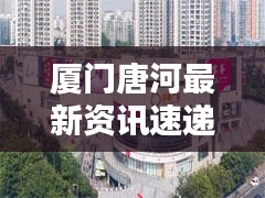 厦门唐河最新资讯速递