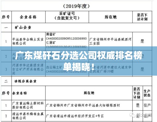 广东煤矸石分选公司权威排名榜单揭晓！