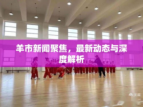 羊市新闻聚焦，最新动态与深度解析