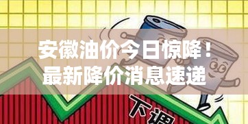 安徽油价今日惊降！最新降价消息速递