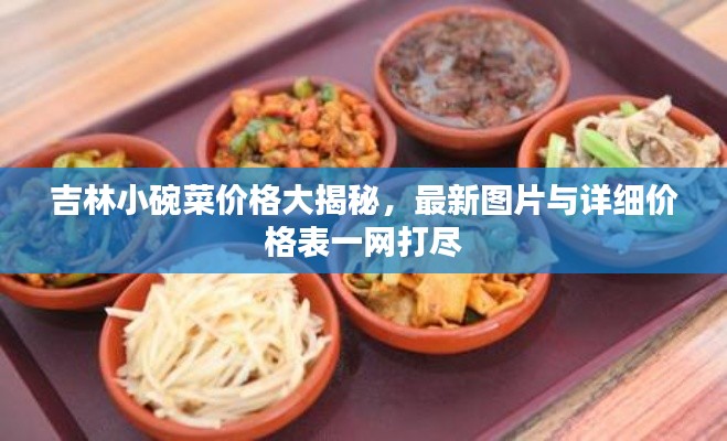 吉林小碗菜价格大揭秘，最新图片与详细价格表一网打尽