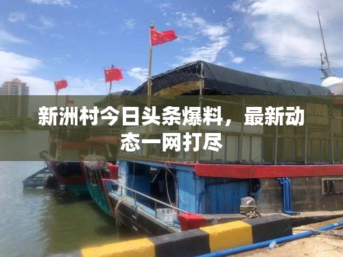 新洲村今日头条爆料，最新动态一网打尽