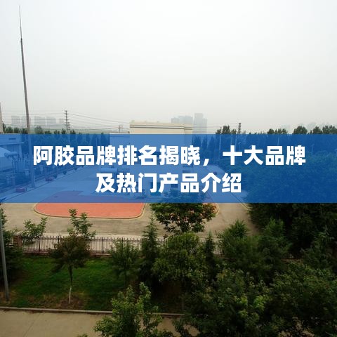 阿胶品牌排名揭晓，十大品牌及热门产品介绍