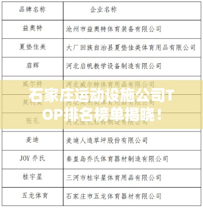 石家庄运动设施公司TOP排名榜单揭晓！