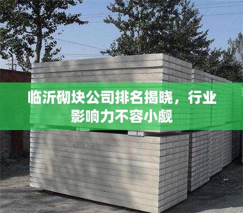 临沂砌块公司排名揭晓，行业影响力不容小觑