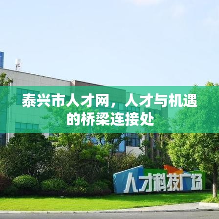 泰兴市人才网，人才与机遇的桥梁连接处