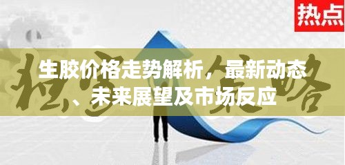 生胶价格走势解析，最新动态、未来展望及市场反应