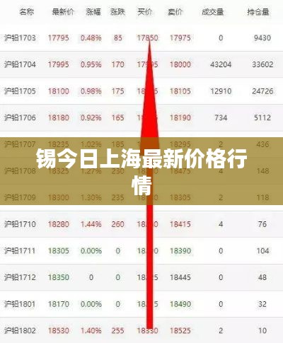 锡今日上海最新价格行情