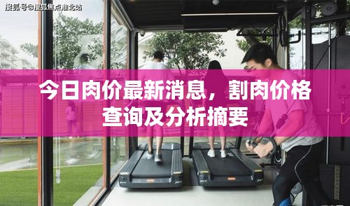今日肉价最新消息，割肉价格查询及分析摘要