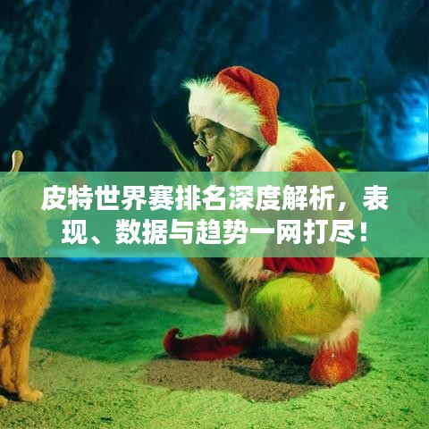 皮特世界赛排名深度解析，表现、数据与趋势一网打尽！