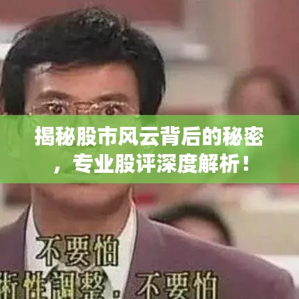 揭秘股市风云背后的秘密，专业股评深度解析！