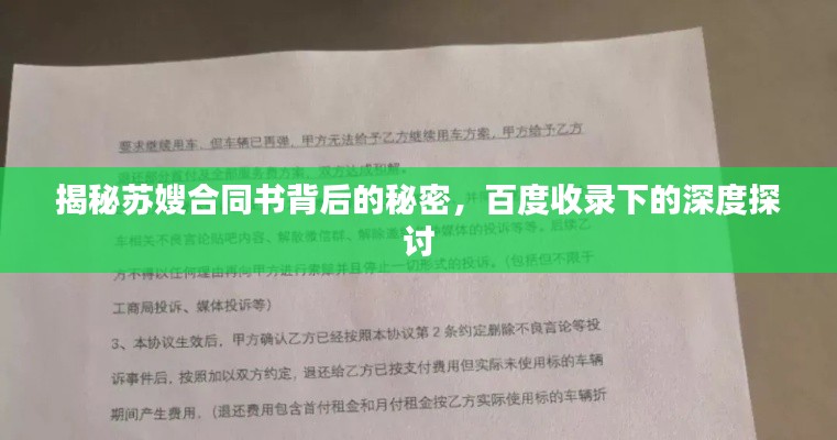 揭秘苏嫂合同书背后的秘密，百度收录下的深度探讨