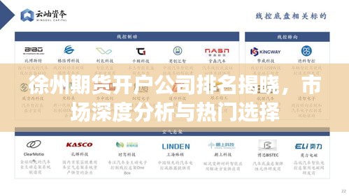 徐州期货开户公司排名揭晓，市场深度分析与热门选择