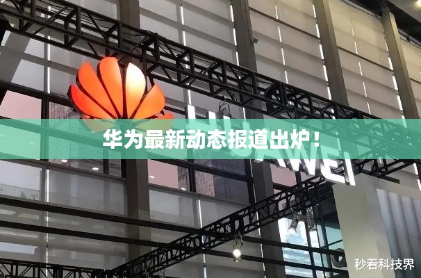 华为最新动态报道出炉！