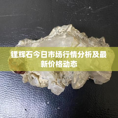 锂辉石今日市场行情分析及最新价格动态