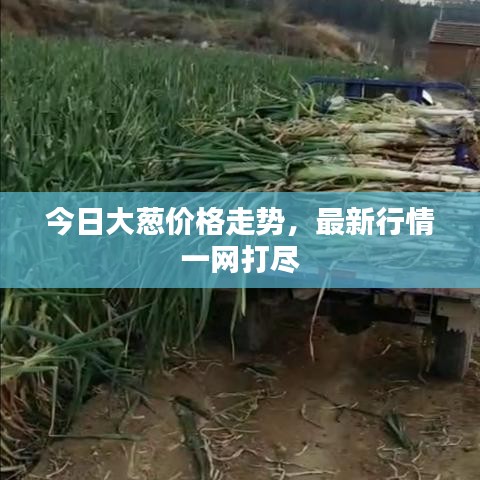 知错就改 第2页