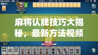 麻将认牌技巧大揭秘，最新方法视频汇总，提升你的牌局乐趣与实力
