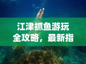江津抓鱼游玩全攻略，最新指南带你畅游捕鱼胜地！