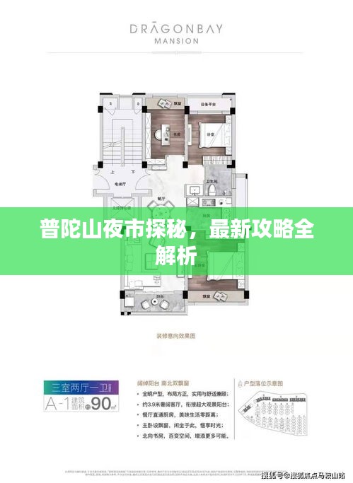 普陀山夜市探秘，最新攻略全解析