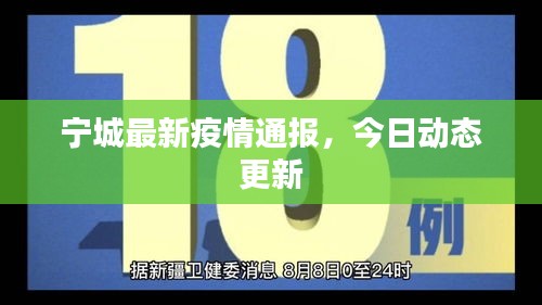 宁城最新疫情通报，今日动态更新