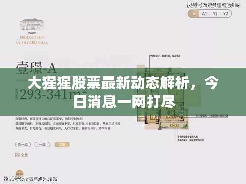 大猩猩股票最新动态解析，今日消息一网打尽