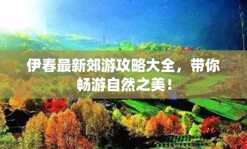 伊春最新郊游攻略大全，带你畅游自然之美！