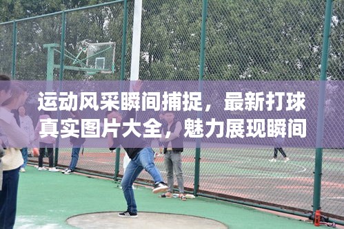 运动风采瞬间捕捉，最新打球真实图片大全，魅力展现瞬间不容错过