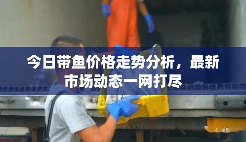 今日带鱼价格走势分析，最新市场动态一网打尽